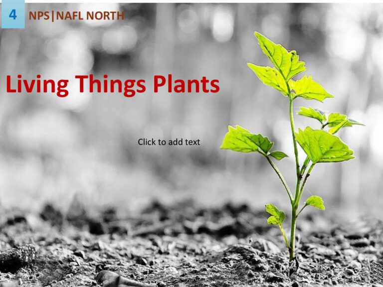 Grade 4-Living Things Plants