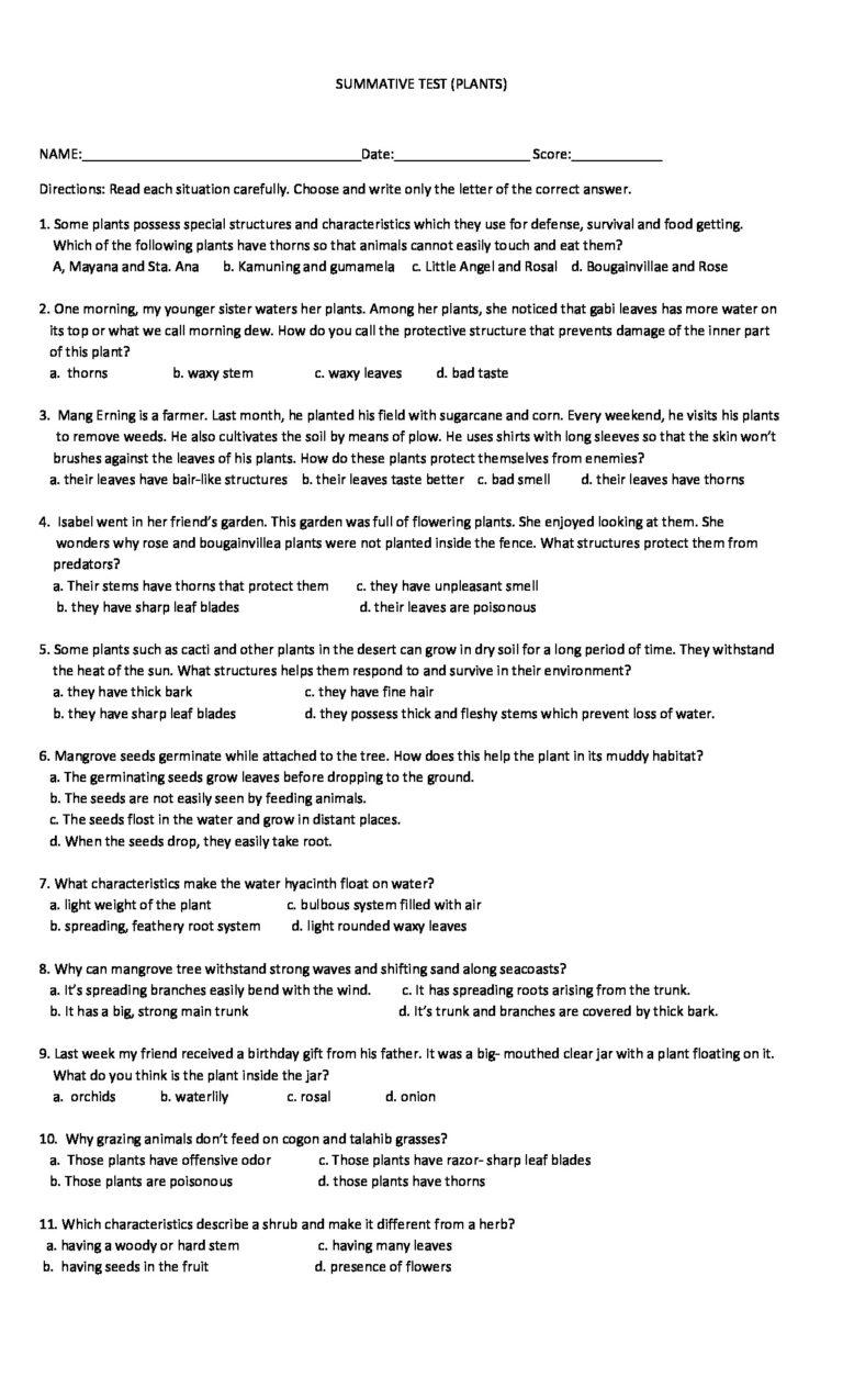 Summative Test 4.2.3